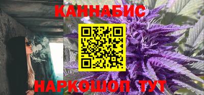 индика Аргун
