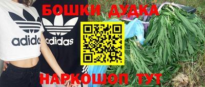 шишки Апшеронск