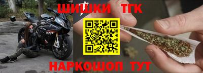 индика Аргун