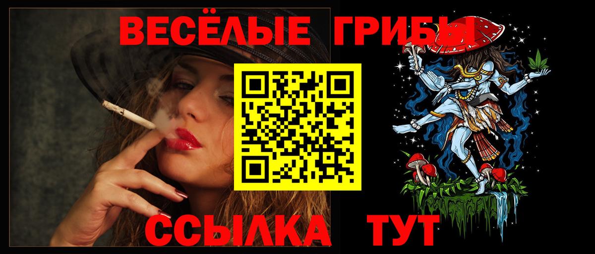 Псилоцибиновые грибы GOLDEN TEACHER Борисоглебск